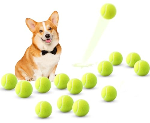 ANCKNE Mini Tennis Balls, 15 Pack 2 inch Dog Tennis Balls, Easy Catching Pet Playing Ball for 2 inch Dog Ball Launcher