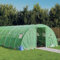 Festnight Invernadero de Jardín XXL Invernadero Tunel Invernadero Exterior 8 x 4 x 2 m Marco de Acero Huerto prar Plantas Casero Plantas Cultivos Verde