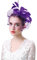 Fascinator Hut Damen Feder Mesh Pillbox Hut Stirnband Retro Blumen Kopfschmuck Elegant Organza Brautschmuck Braut Haarschmuck Royal Haarreif Mädchen Hochzeitshut Cocktail Party Kirche Lila