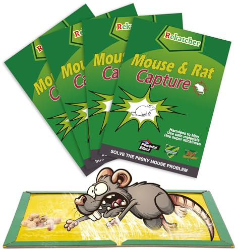 Rekatcher 4 Pièces Trampas para Ratones, Mata Ratas Pegamento Ratones Trampa Adhesiva para Ratones Adecuado para Almacenes de Cocina