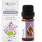 Essences Bulgaria Olio Essenziale di Lavanda Biologico 10 ml | Lavandula angustifolia | 100% Puro e Naturale | Non Diluito | Grado Terapeutico | Fattoria a Conduzione Familiare | Distillato a Vapore
