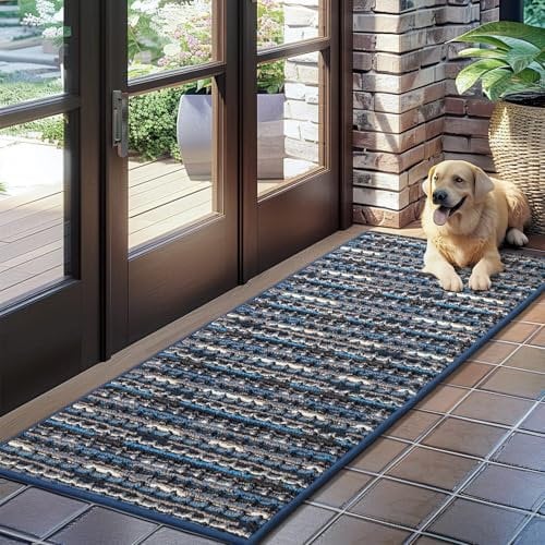 Biscpro Fußmatte Schmutzfangmatte Innen,Sauberlaufmatte Teppich rutschfeste Waschbar Fussmatte Doormat für Eingangsbereich,Haustür,Patio,Flur,Garten,Porch-50x120cm