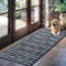 Biscpro Fußmatte Schmutzfangmatte Innen,Sauberlaufmatte Teppich rutschfeste Waschbar Fussmatte Doormat für Eingangsbereich,Haustür,Patio,Flur,Garten,Porch-50x120cm