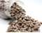 Original Choc Nibbles Made With Real Milk Chocolate, Caramel and Dusted With Icing Sugar (2kg)