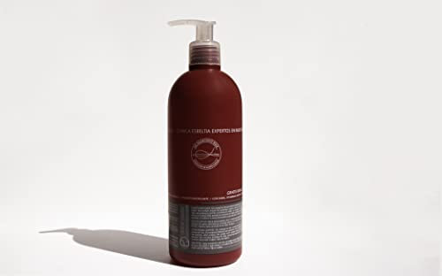 DR.FCO RUIZ Anti-Haarausfall-Shampoo | nährt und repariert gepfropftes oder geschwächtes Haar | für Wachstum und Gesundheit der Haare | stärkt und pflegt Ihre Mähne | 400 ml