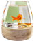 Bocal à poissons transparent pour aquarium, Aquarium en verre avec base en bois, verre à haute transmission de la lumière for une vue dégagée, petit aquarium for Betta, poisson rouge, crevettes(17x19.