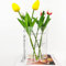 Clear Vase Buch, Acryl Büchervase als Blumen-Deko für Bücherregal - Kreatives Geschenk für Pflanzenliebhaber | Klare Tulpenvase für Tischcenter, Zimmerdeko & Wohnaccessoires