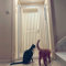Treppenschutzgitte , Extra hoch Druck Fit Haustier-Sicherheits-Tor Cat Tor |78cm breit, 80cm-130cm extra hoch |Pet Isolation Tür Hund Katze Sicherheit Zaun Tore |Auto Close, Two Way Open Door, Weiss