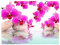 DCIDBEI Diamond Painting Orchidee Lila 50x40 cm diamant painting bilder Blumen Diamond Painting Orchideen Runde Steine Malen nach Zahlen Phalaenopsis Diamant Malerei Landschaft Zen