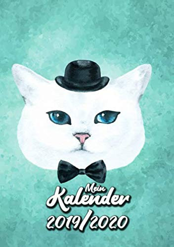Mein Kalender 2019/2020: Schülerkalender für Katzernfreunde