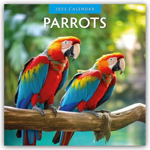 Parrots – Papageien 2025 – 16-Monatskalender: Original Red Robin Publishing Ltd-Kalender [Mehrsprachig] [Kalender] (Wall-Kalender)
