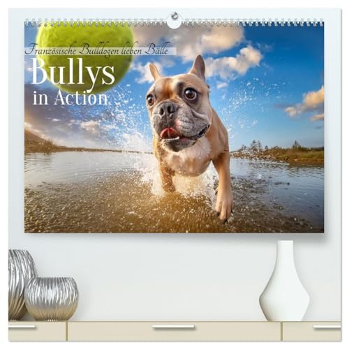 Bullys in Action - Französische Bulldoggen lieben Bälle (hochwertiger Premium Wandkalender 2026 DIN A2 quer), Kunstdruck in Hochglanz: Verspielte Kraftpakete (CALVENDO Tiere)