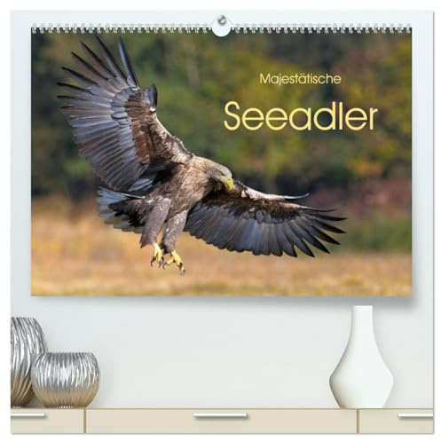 Majestätische Seeadler (hochwertiger Premium Wandkalender 2026 DIN A2 quer), Kunstdruck in Hochglanz: Deutschlands größter heimischer Greifvogel (CALVENDO Tiere)