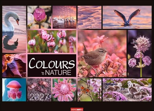 Colours of Nature Kalender 2027: Großer Foto-Wandkalender im Querformat 68 x 49 cm. Natur-Kalender 2027 mit harmonischen Bild- und Farbkompositionen für jeden Monat.