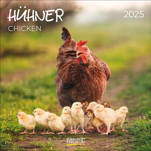 Broschürenkalender 2025 Hühner mit Ferienterminen. Format: 30 x 30 cm