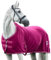 EQUILYX® Abschwitzdecke Pferd mit Kreuzgurten [perfekte Passform] Fleecedecke Stalldecke Transportdecke wärmend feuchtigkeitsabsorbierend atmungsaktiv (Fuchsia, 135cm)