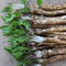 250 pcs Meerrettich Pflanzen Kaufen, seltene pflanzen küchenkräuter, gemüsesamen balkon Meerrettich Saatgut gewächshaus balkon, kräuter samen mehrjährig gartenkräuter herbst dekoration,