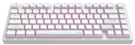 Dark Project ALU TERRA NOSTRA R2 (weiß) – kabelgebundene mechanische Gaming-Tastatur, ANSI ENG, Hotswap, G3MS Moonstone gefettete Schalter und Stabilisatoren, flexible Dichtungshalterung, Aluminium