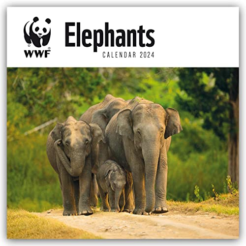 WWF Elephants – Elefanten 2024: Original Carousel-Kalender [Mehrsprachig] [Kalender] (Wall-Kalender)