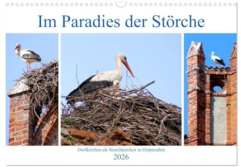 Im Paradies der Störche - Dorfkirchen als Storchkirchen in Ostpreußen (Wandkalender 2026 DIN A3 quer), CALVENDO Monatskalender: Storchennester auf Kirchenruinen in Ostpreußen (CALVENDO Natur)
