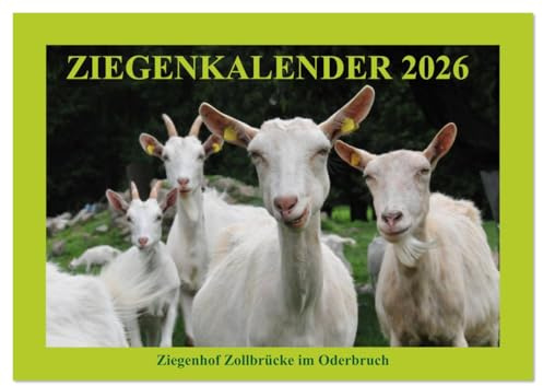 Ziegenkalender 2026 (Wandkalender 2026 DIN A4 quer), CALVENDO Monatskalender: Ziegenporträts - fotografiert auf dem Ziegenhof Zollbrücke im Oderbruch. (CALVENDO Tiere)