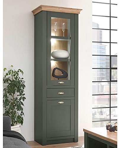 Lomadox Landhaus Wohnzimmer Vitrine Standvitrine grün mit Wotan Eiche, inkl. Beleuchtung