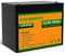 ECO-WORTHY Batteria Litio 12V LiFePO4 100Ah with BMS, Scarica Profonda Maggiore di 3000+ Volte,1280wh, Ricaricabile con Energia Solare, Perfetta per Sistemi Off-grid/Fotovoltaico/Camper
