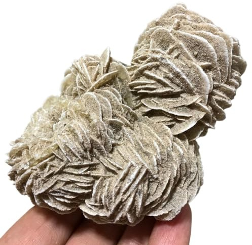 Stone Desert Rose Cluster, Selenite Crystal Quartz Rock Collection(Size:20-50g)