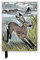 Premium Notizbuch DIN A5: Angela Harding, Junger Hase: Unser hochwertiges, liniertes Blankbook mit festem, künstlerisch geprägtem Einband und ... Notizbuch DIN A 5 mit Magnetverschluss)