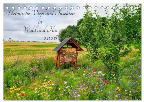 Heimische Vögel und Insekten in Wald und Flur (Tischkalender 2026 DIN A5 quer), CALVENDO Monatskalender: Farbenfrohe sächsische Flora und Fauna (CALVENDO Tiere)