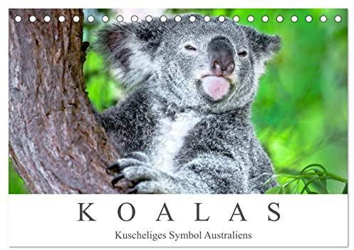 Koalas - Kuscheliges Symbol Australiens (Tischkalender 2026 DIN A5 quer), CALVENDO Monatskalender: Einzigartige Bewohner der Eukalyptuswälder Australiens. (CALVENDO Tiere)