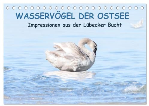 Wasservögel der Ostsee - Impressionen aus der Lübecker Bucht (Tischkalender 2026 DIN A5 quer), CALVENDO Monatskalender: Maritime Aufnahmen von Wasservögeln. (CALVENDO Tiere)