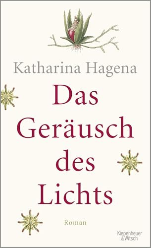 Das Geräusch des Lichts: Roman