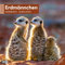 Erdmännchen Broschürenkalender 2026 - 30x30 - Art12 | Niedlicher Tier-Kalender im schlanken Hochformat (aufgeklappt 30x60 cm) | Eintrage-Kalendarium