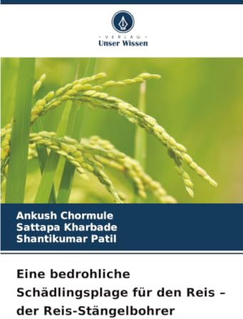 Eine bedrohliche Schädlingsplage für den Reis – der Reis-Stängelbohrer