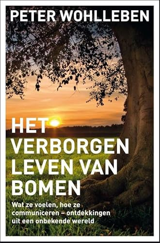 Het verborgen leven van bomen: wat ze voelen, hoe ze communiceren - ontdekkingen uit een onbekende wereld