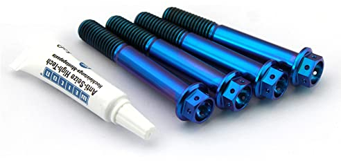 Generisch 4 Titan Bremssattel Schrauben Set für BMW S 1000 / HP4 10x1,5x65 Blau