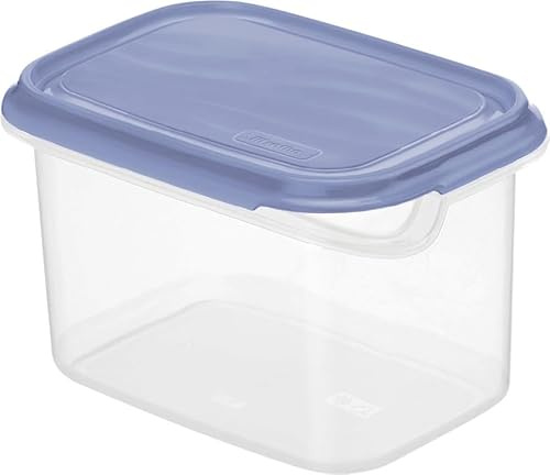 Rotho Rechteckiger Behälter, 0,75 l, blauer Deckel