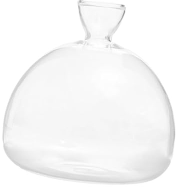 Dualoai -Vaso per Germogli di Semi, Vaso in Vetro Trasparente, Set di Vasi per La Crescita degli Alberi per La Decorazione di Interni, Madre,