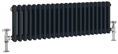 Manissa 2 Column Anthracite Traditional Radiator 300mm H x 830mm W