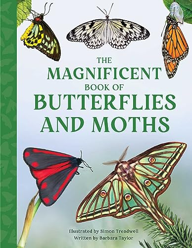 The Magnificent Book of Butterflies And Moths