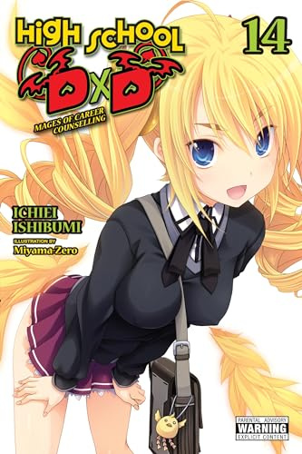 High School DxD, Vol. 14 (light novel): Mages of Career Counselling (HIGH SCHOOL DXD LIGHT NOVEL SC)