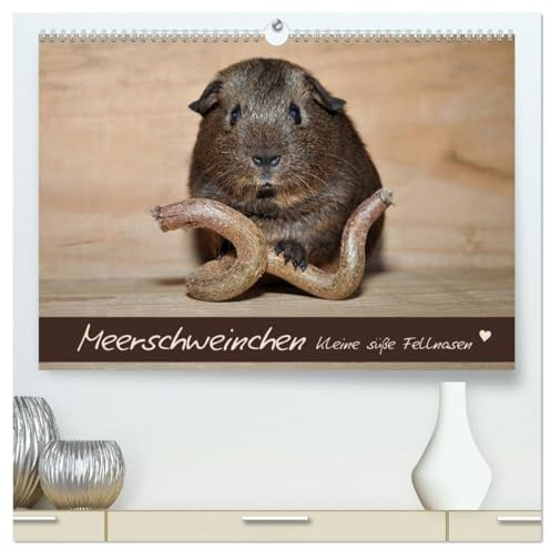 Meerschweinchen - Kleine süße Fellnasen (hochwertiger Premium Wandkalender 2026 DIN A2 quer), Kunstdruck in Hochglanz: Kleine Nager im Fokus (CALVENDO Tiere)
