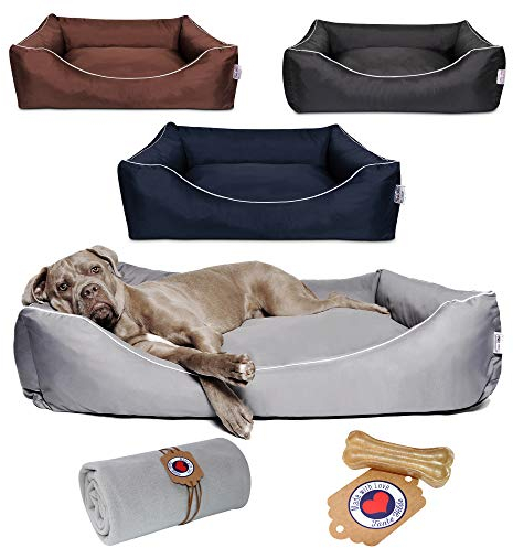 Tante Hilde Hundebett Wangerooge Set inkl. Kuscheldecke, Hundekorb, Hundekissen, Waschbar, Robust, Größenauswahl, Hochwertige Qualität! (XXL 100 x 80 cm, Set Blau z.B. Münsterländer, Retriever)