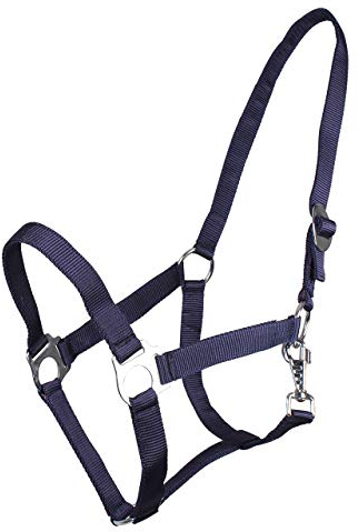 ARBO-INOX® Halfter mit Schiebeschnalle Stallhalfter Basic (Cob, blau)