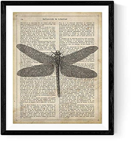 Drucke für die Gestaltung „Libelle“. Blatt mit Wörterbuchdefinition „Libertad“ auf Spanisch. A4-Format. mit Rahmen