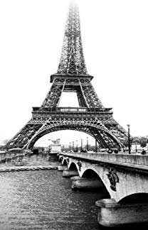 erfal Schiebevorhang Schiebegardine Flächenvorhang Raumteiler halbtransparent 60 x 245 cm Paris schwarz weiß