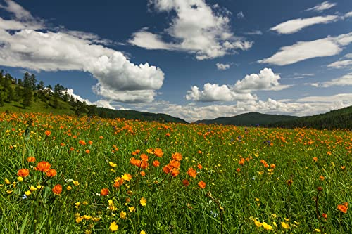 VLIES Fototapete-LANDSCHAFT-(PF5247)-250x186 cm-Alpen Berge Wald Wiese See Fluss Natur Alm Gipfel Blumen Bäume Dekoration XXL Wandbild Poster Moderne Tapete