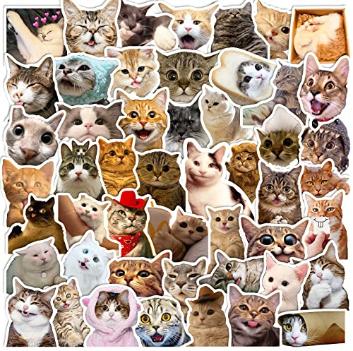 EUFFO Katze Aufkleber 50 Stück, MEME Kitty Ausdruck Sticker für Laptop Helm Scrapbook Motorrad Koffer Fahrrad Skateboard Wasserfeste Lustig Sticker Set