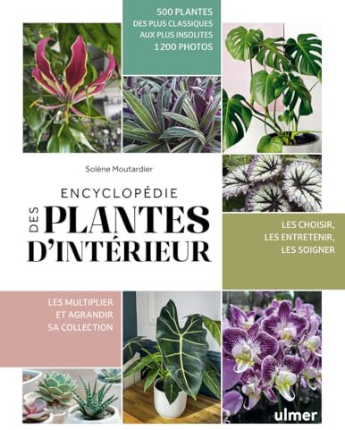 Encyclopédie des plantes d'intérieur: 500 plantes, des plus classiques aux plus insolites - Les choisir, les entretenir, les soigner - Les mutiplier et agrandir sa collection